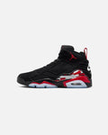Jordan 6